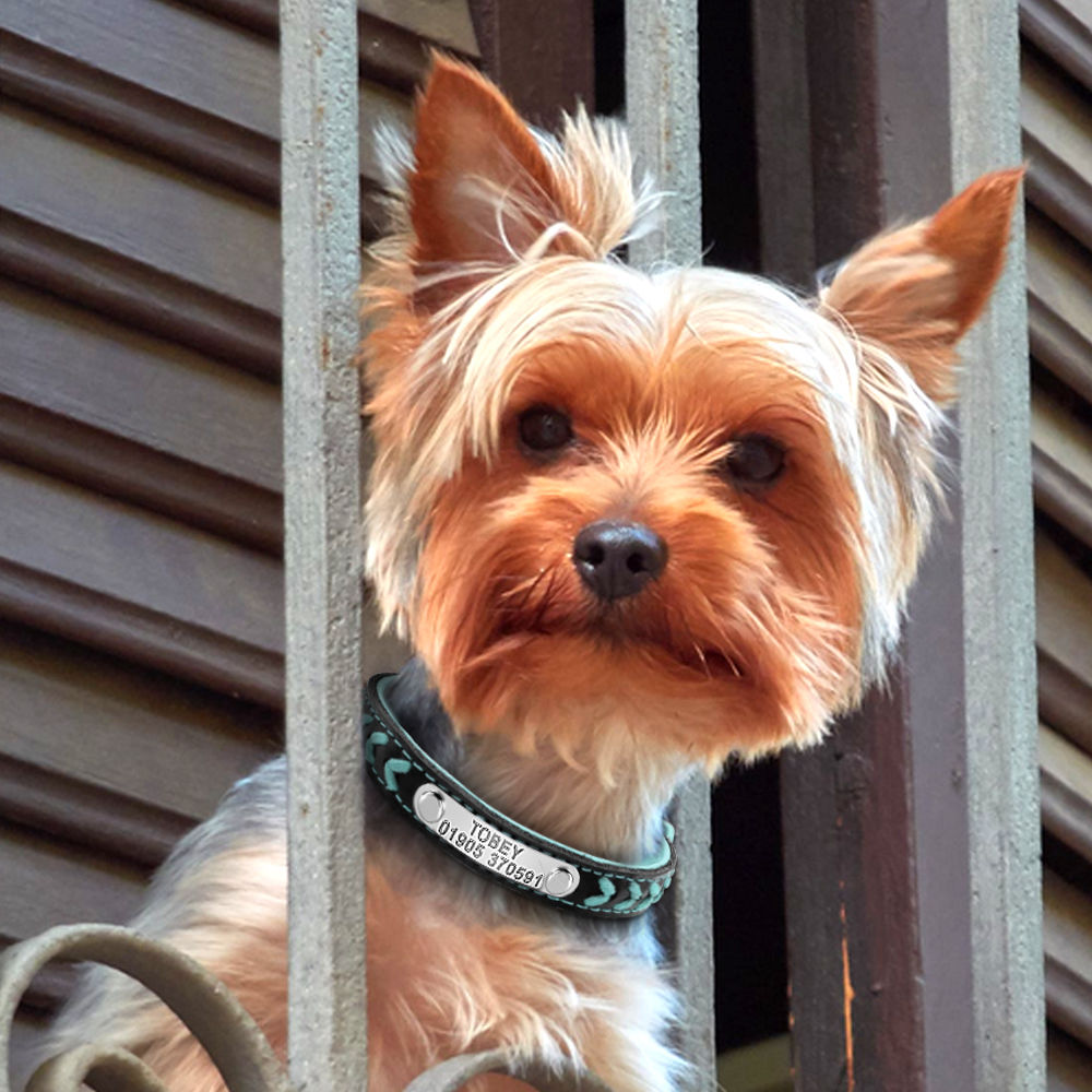 Braided Custom Personalized Dog Collar Leather Padded Dog Pet ID Name Collars GrindStyle