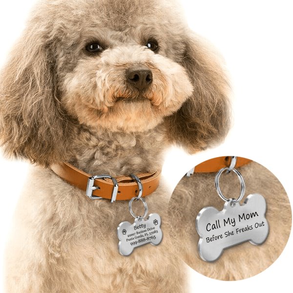 Call My Mom Before She Freaks Out Pet Tag GrindStyle