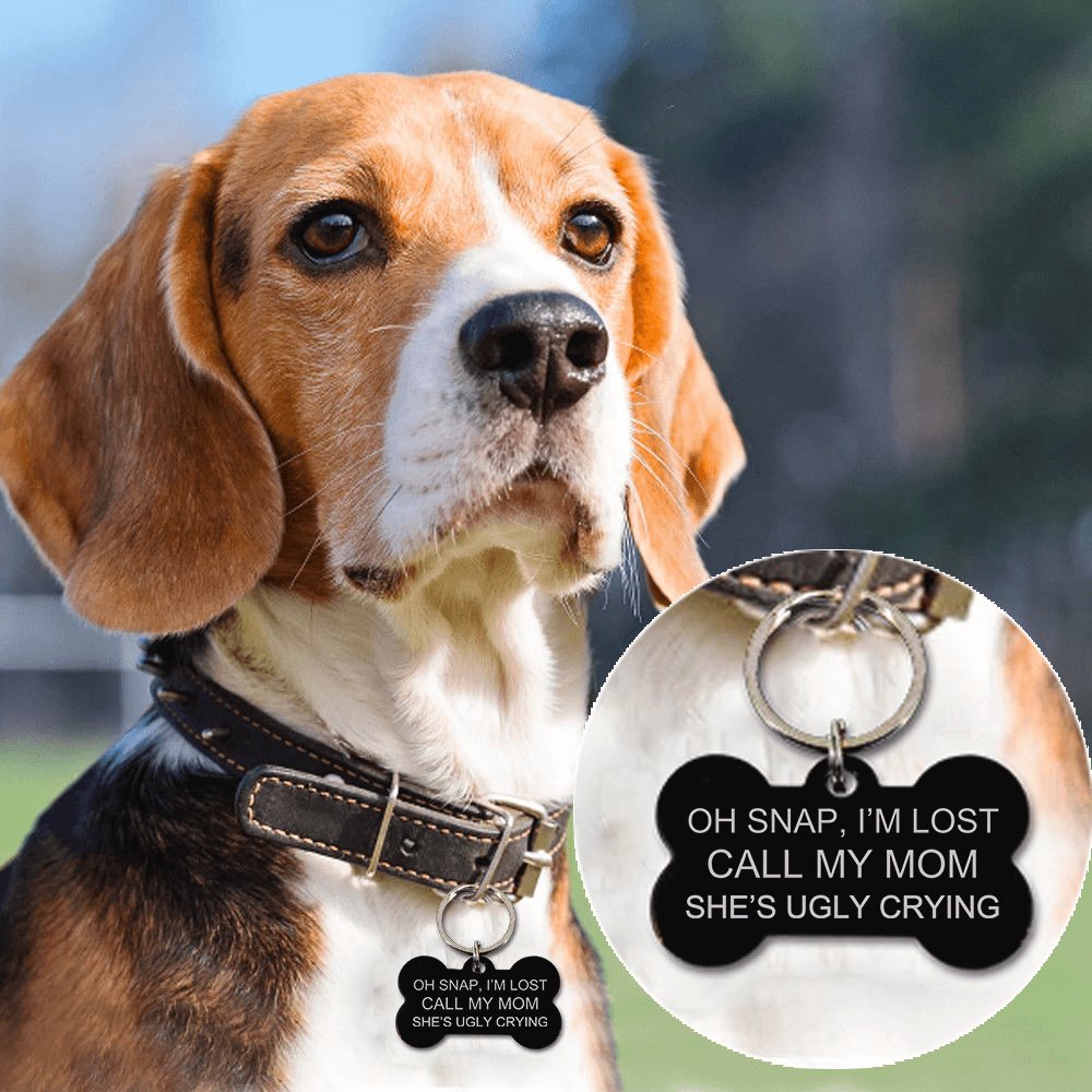 Oh Snap I'm Lost Call My Mom Pet Tag Pet Tag GrindStyle 
